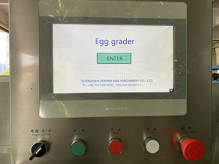 Clasificadora de huevos 104A