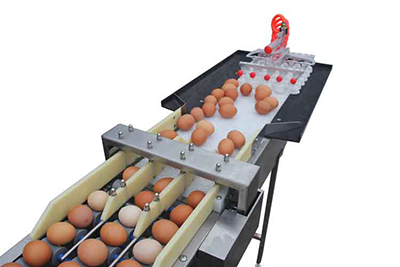 Elevador de huevos por vacío y acumulador de huevos