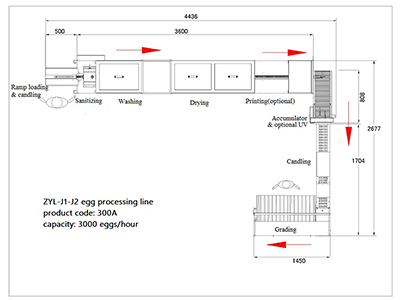 Línea de procesamiento de huevos 300A con función de limpieza y clasificación