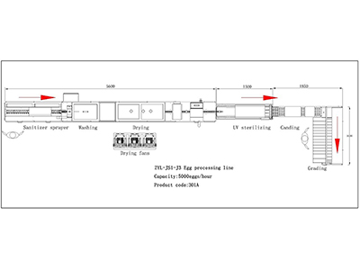 Línea de procesamiento de huevos 301A con función de limpieza y clasificación