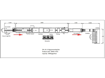Línea de procesamiento de huevos 301A con función de limpieza y clasificación