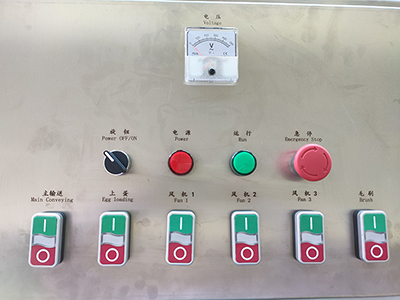 Línea de procesamiento de huevos 303A con limpieza, clasificación y envasado automático