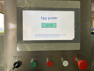 Línea de procesamiento de huevos 303B con función de limpieza y clasificación