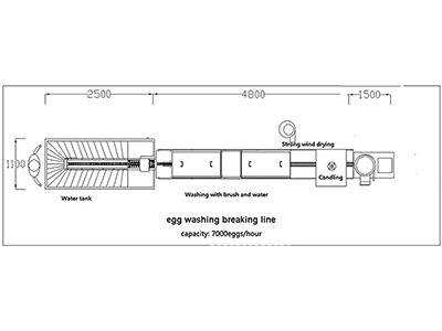 Línea de procesamiento de huevos 300C con función de limpieza y ruptura (10000 huevos/hora)