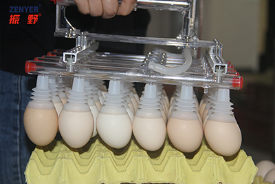 Elevador de huevos mediante vacío 602