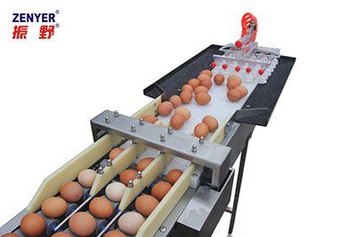 Acumulador de huevos 604A
