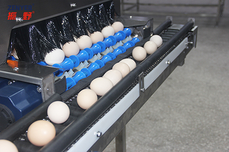 Acumulador de huevos 605A
